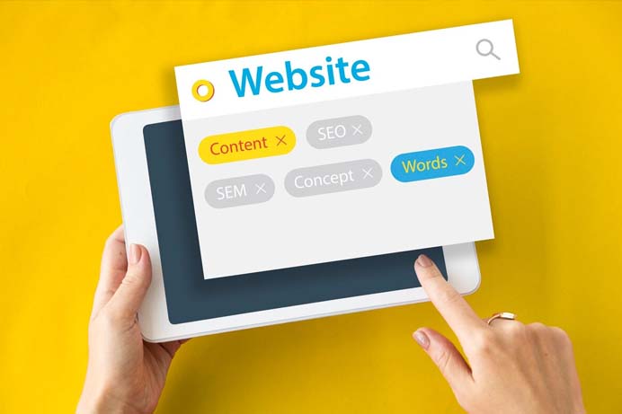 seo site profissional