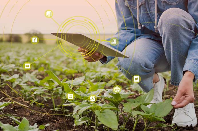 envio de email inteligente no marketing agro