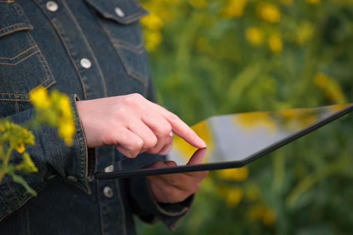 SEO mkt Agro