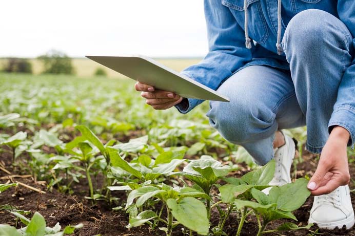 marketing agro sustentabilidade